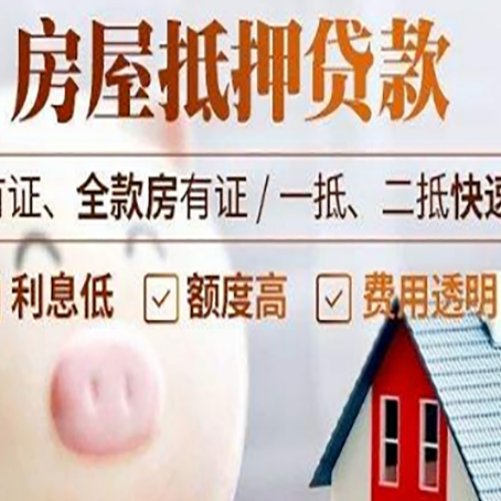 山阳贷款助贷公司新渝启服成立时间久